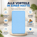 Ice Cool Kühlpfote Haustier Matte
